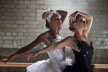 DALIA GELLERT / COMMERCIALS / ART DIRECTOR  FOR COMPARE THE MARKET 